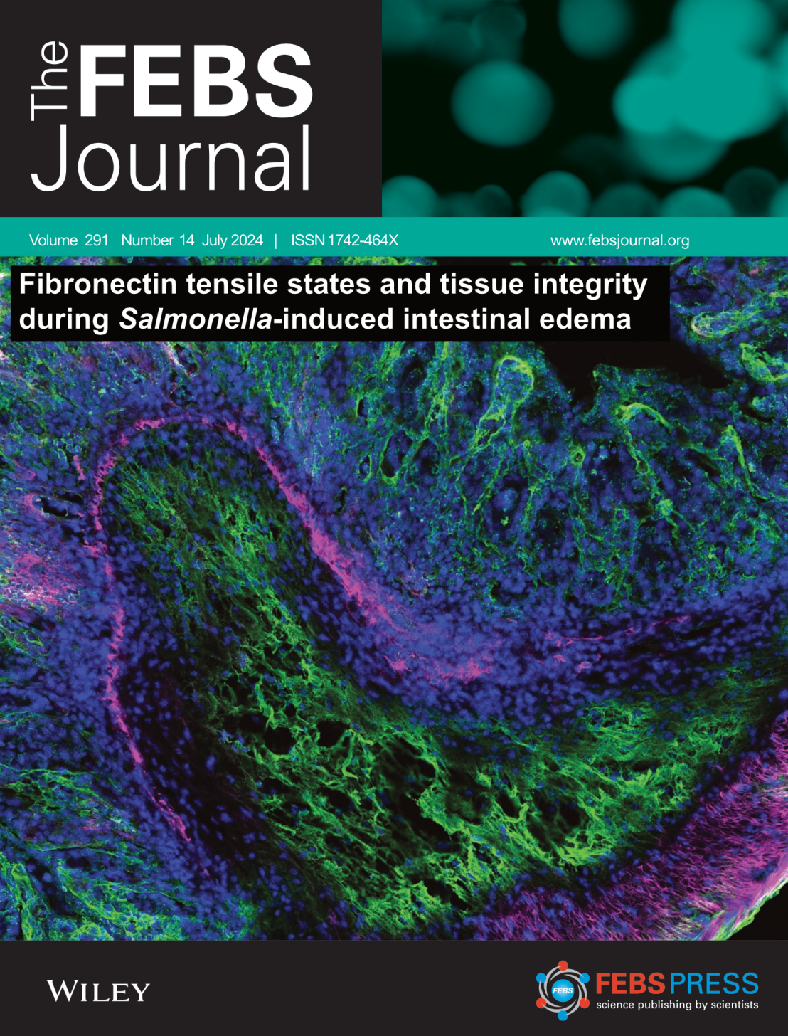 Ronja_Rappold_The_FEBS_Journal